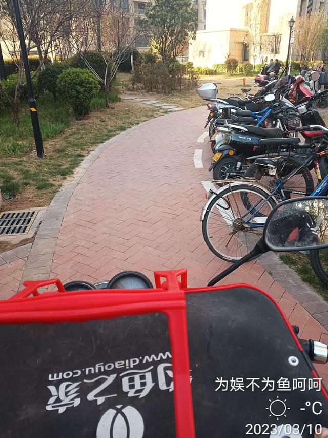 |【开钓节】钓友相约齐聚钓点，岂料水中无板鲫，花棒成大王