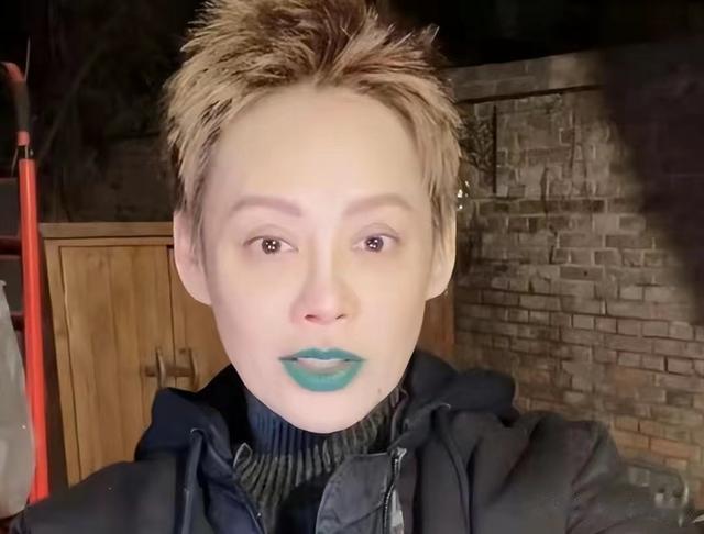 宁静|宁静绿嘴唇，华晨宇穿高跟鞋，明星的“高级”审美，普通人看不懂