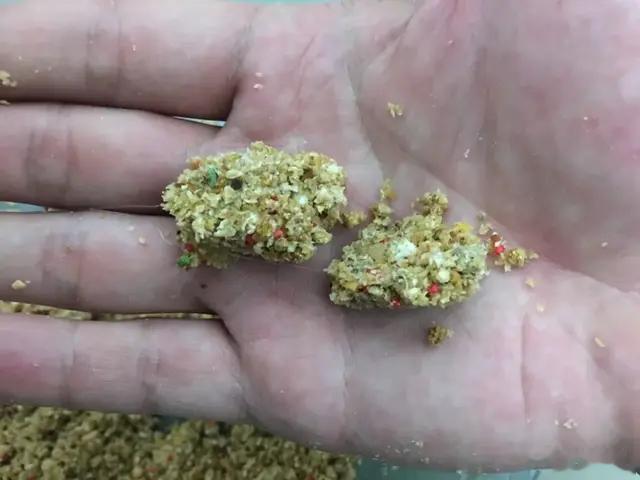 都说鲤鱼爱“散饵”，真的吗？饵料怎么开才能让它快速进窝
