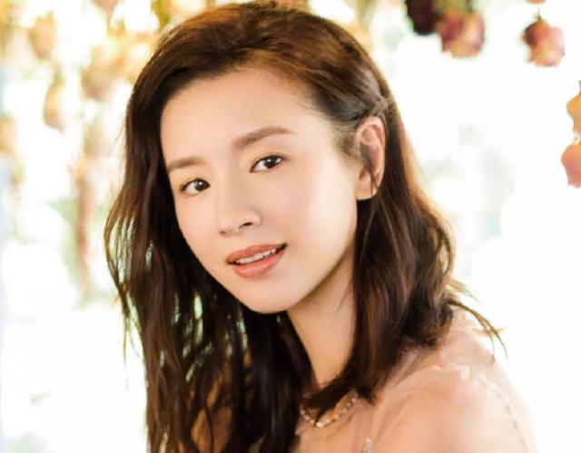 董洁|那些声名远扬还苦苦挣扎的女星们