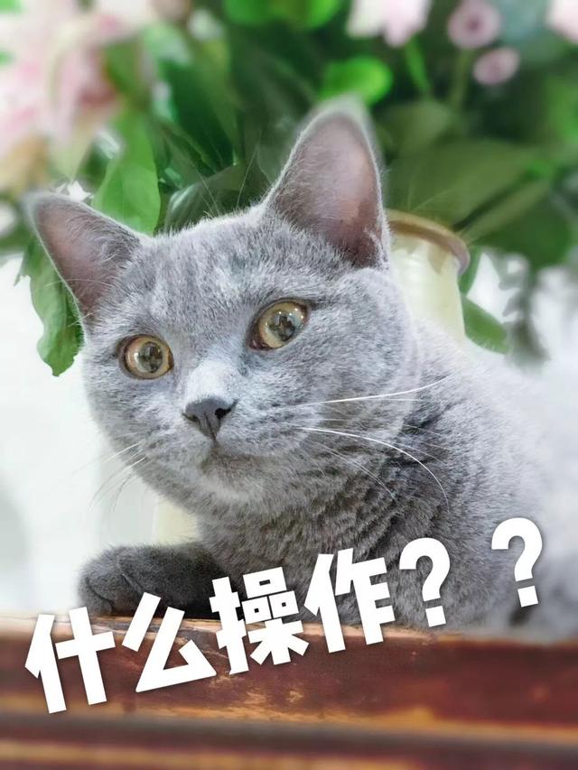 19岁男子盗走玛莎拉蒂，请代驾从湖南长沙开到了江西九江，获刑十年