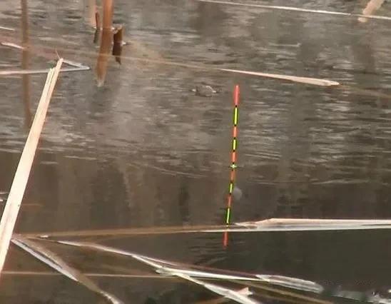 为啥梅州钓法的漂相上顶，双铅下跑铅钓法的漂相下顿？开眼界了