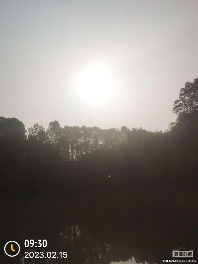 |昨天跑鱼，今天断线，只有大板鲫不离不弃