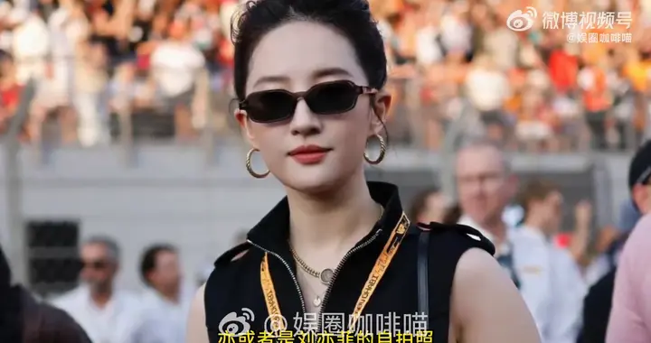 刘亦菲越长越小了