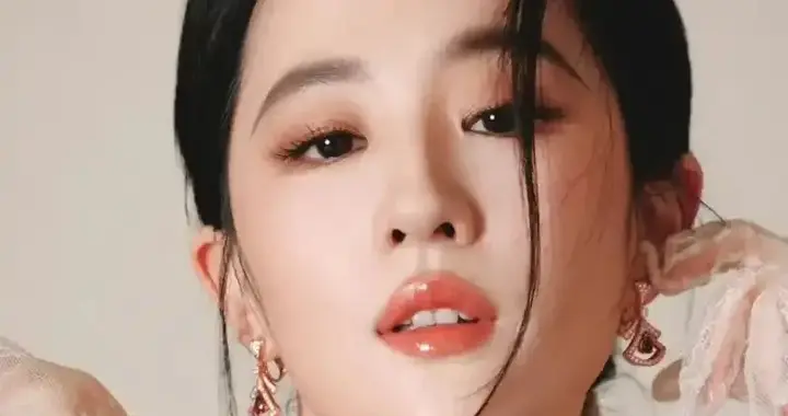 刘宇宁 任嘉伦 刘亦菲 杨紫 张昊玥 关晓彤 辛芷蕾 成毅 丁禹兮