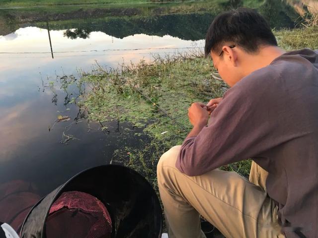 钓鱼技巧|5个钓鱼小技巧，能让你赢在起跑线，钓的比别人更多