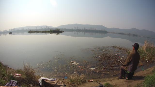 鲫鱼|野钓技能之：闻水识鱼，可选准钓点判断钓法针对目标鱼
