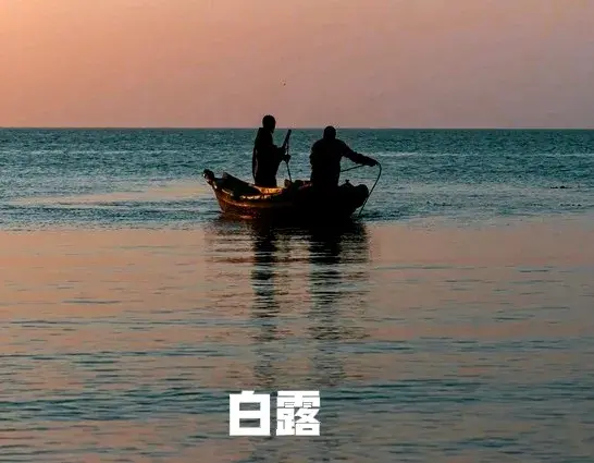 白露时节最补的鱼，不是鲅鱼和带鱼，而是这3种，刺少肉多别错过