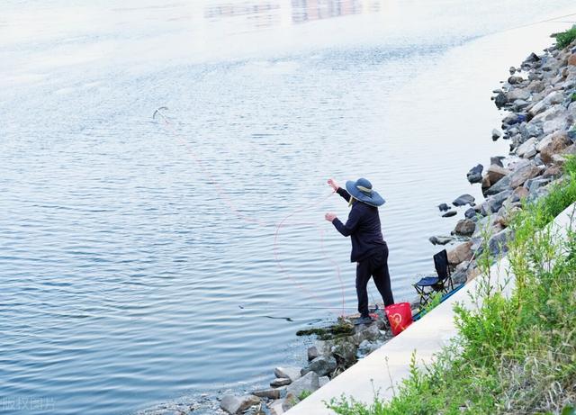 鲫鱼|野钓时，怎样减少空军几率？
