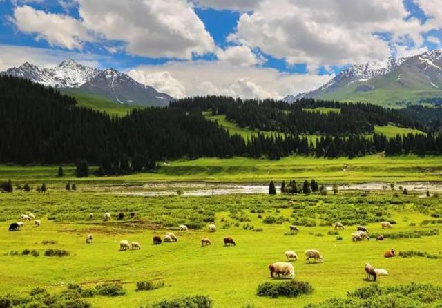 新疆维吾尔自治区|新疆足以媲美瑞士的地方，被称为寨外江南，大家有时间来一趟吧