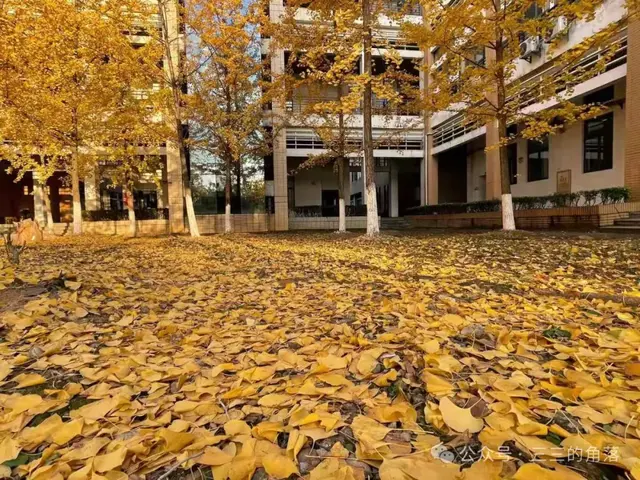 中年失业后，千万要做的 5 件事！