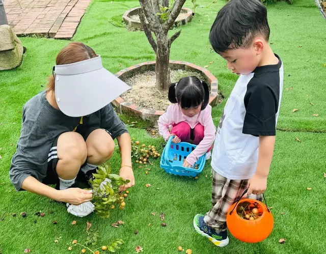 杨怡罗仲谦带娃体验摘黄皮，一家四口互动有爱，俩孩子颜值好高