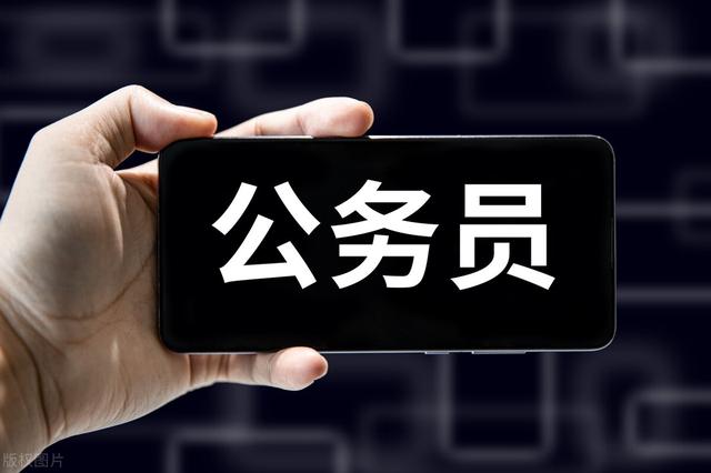 |大学生追求公务员并不是一种病态，但过度依赖公务员职业固然可怕