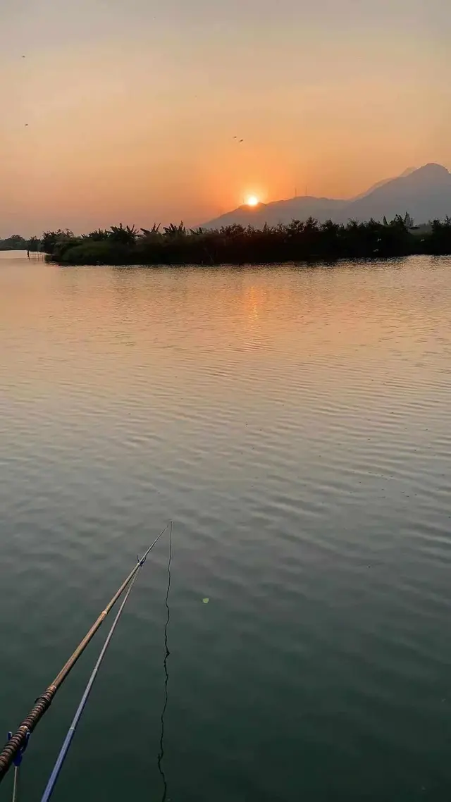 夏季野钓技巧