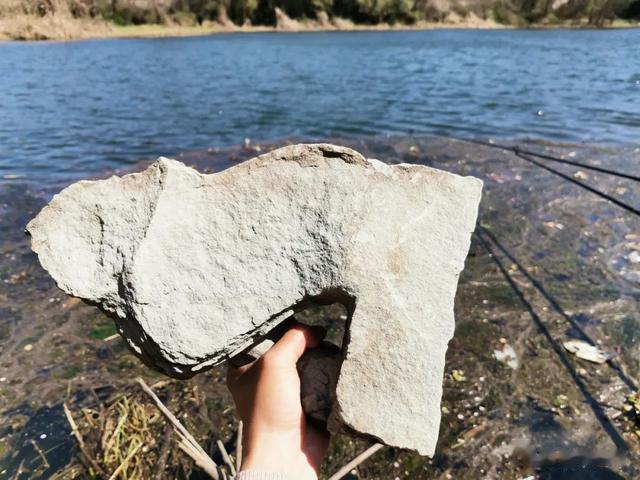 钓鱼|往水里砸石头对钓鱼影响究竟多大？说出来你可能还不信