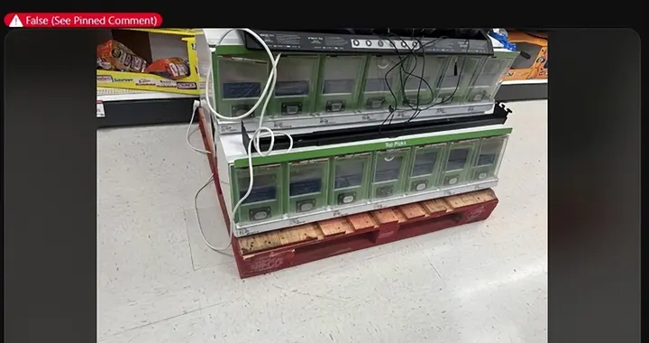 Zen6＋RDNA5還會有嗎？微軟被傳徹底放棄Xbox 官方回應