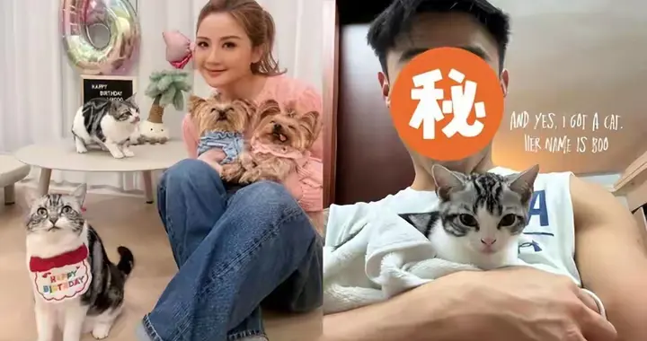 港媒曝43岁阿Sa新恋情！与小9岁私教交往数月，同晒猫咪疑似官宣