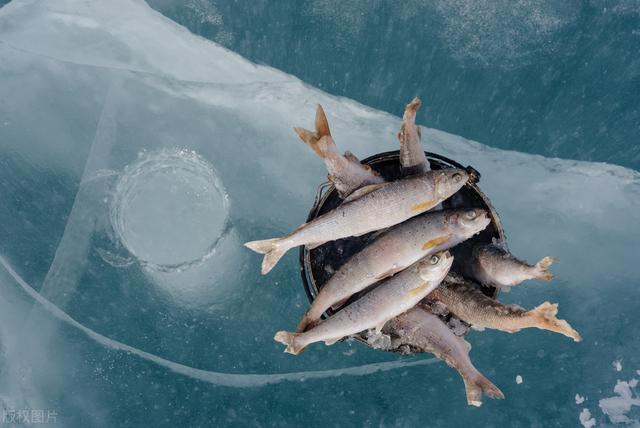 深水区|冬季钓鱼，不只有深水区好钓鱼，藏鱼的钓位还有这几个