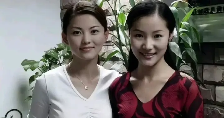 李湘：美过，瘦过，红过，丑过，但没穷过