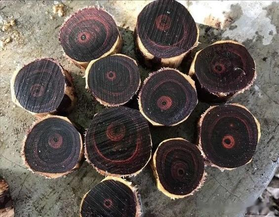 海南黄花梨|揭秘海黄手串制作过程：海南黄花梨手串是怎么制作出来的？