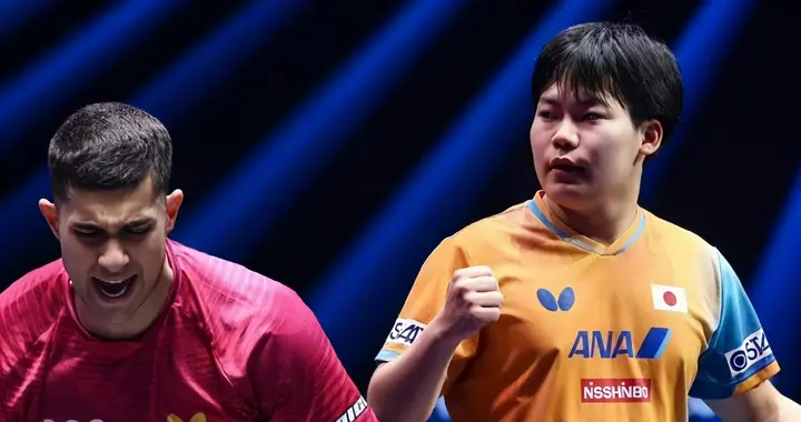 法兰克福冠军赛：11月8日最新战报!单打8强全出,松岛美和强势晋级