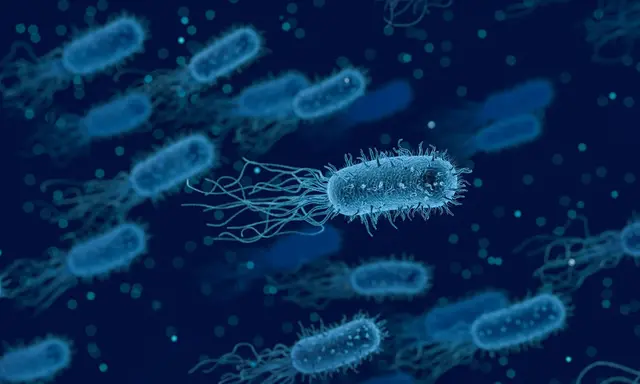 科学家发现应对抗生素耐药性细菌的新武器