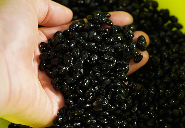 稻田里的这种野味！被誉为“土燕窝”，蛋白质是牛肉2倍，别错过