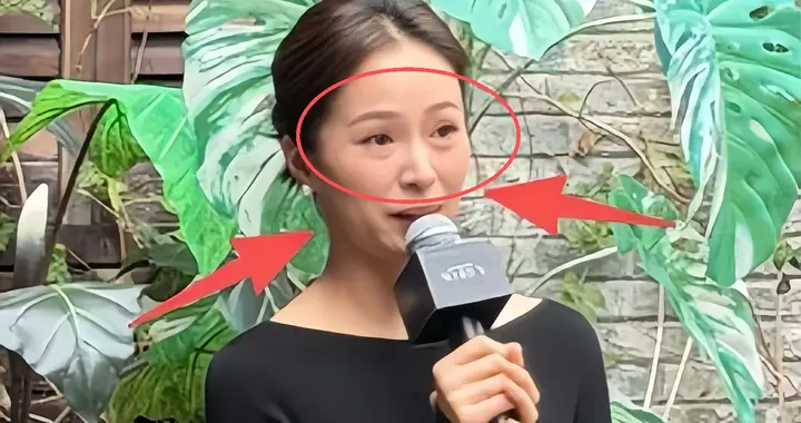 曝43岁江一燕离婚！两天前已初见端倪，参加活动眼睛水肿像哭过