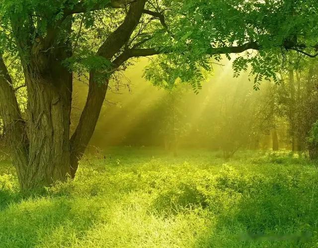 职场中20条为人处世的潜规则