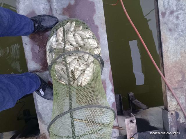饵料|【开钓节】爆护有心得，浅谈一下开年钓鱼技巧体会