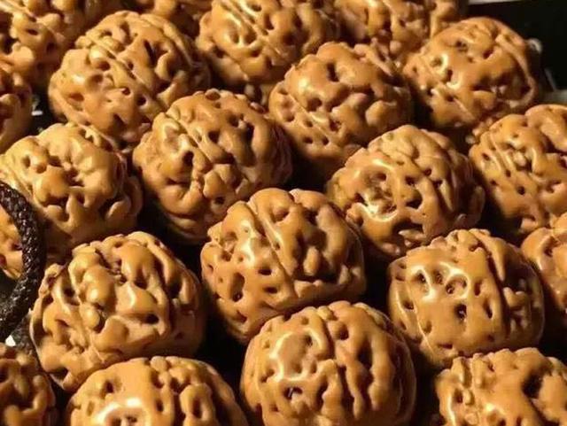 |金刚菩提的“滚筒籽”好不好