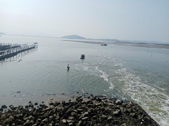 饵料|菜地解封第一战，黄鳍鲷来小爆护