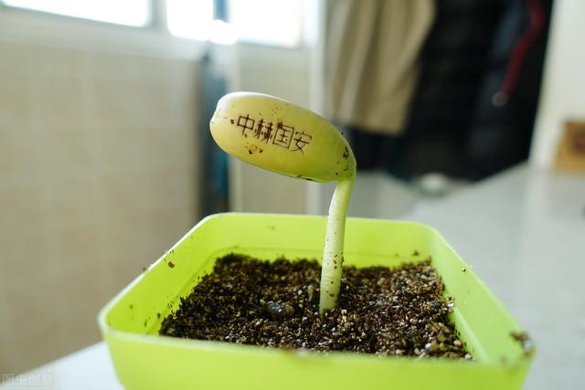 北京国安|11月17日对于北京国安来说是个耻辱的日子