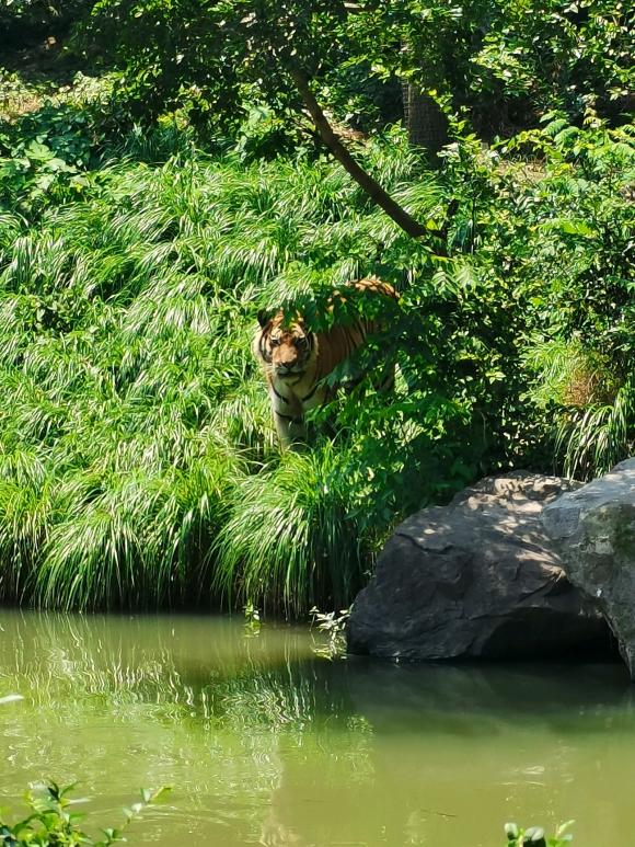 饵料|讲讲最近野钓遇到几件离谱的事情