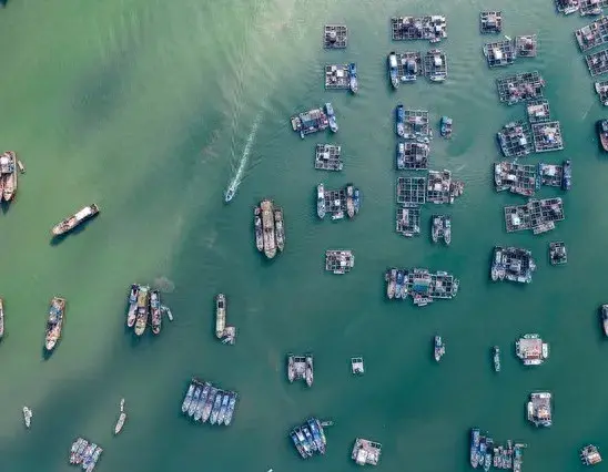 海鱼|开海后，这4种海鱼都是黄渤海特产，遇到后别手软，纯野生营养高