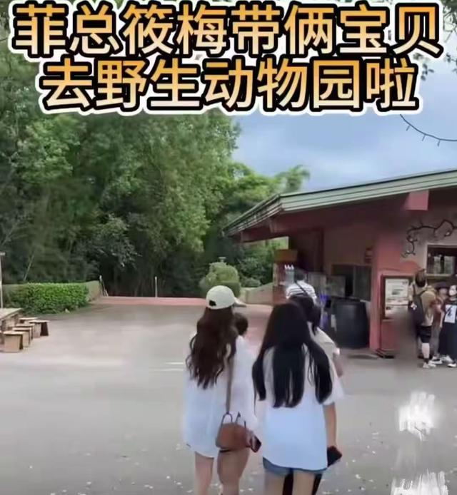 小玥儿正脸照罕见曝光，跟大S长得像，奶奶：孩子不知妈妈坟在哪