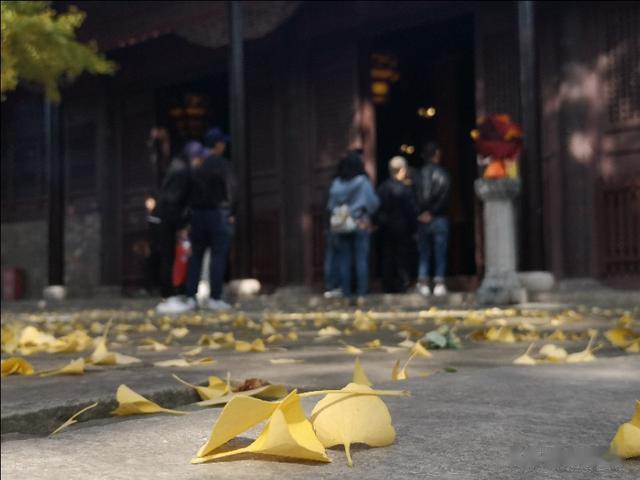 黑龙江|又是一年秋叶黄，我叹灵岩罗汉堂！