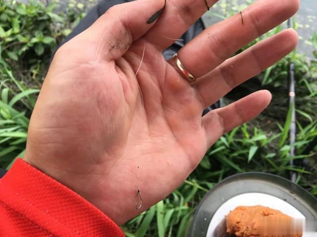 鱼线|鱼线智商税多多，坑你没商量！玩野钓究竟该如何选线？