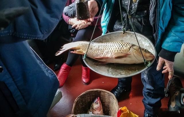 鱼刺|公认口感最好的5种“野生海鱼”，无法人工养殖，你吃过几种呢？
