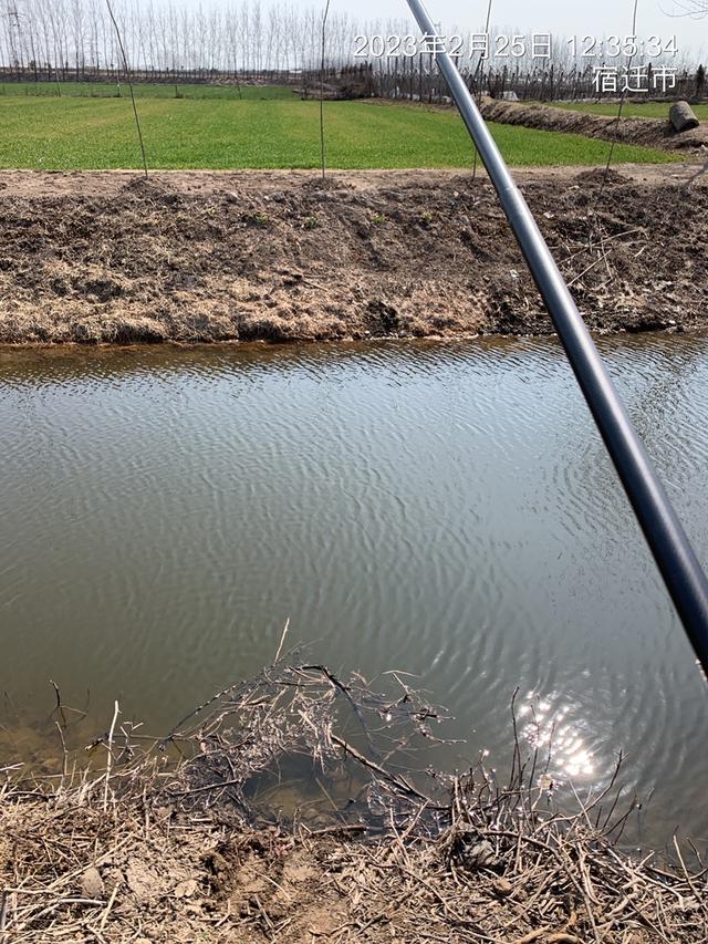 |被抽水、电工光顾的钓点还藏着惊喜