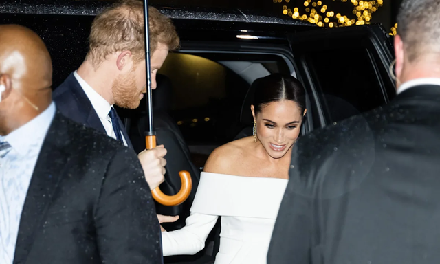 艾伦·德杰尼勒斯|哈里和梅根：在艾伦·德杰尼勒斯的好莱坞明星再婚仪式上明星亮相