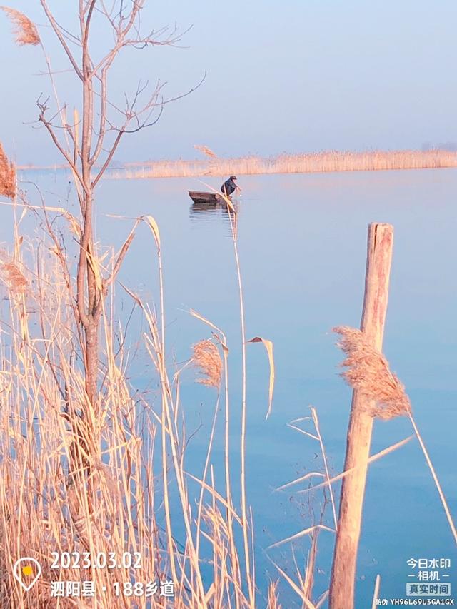 |时来天地皆同力，今天爆护！