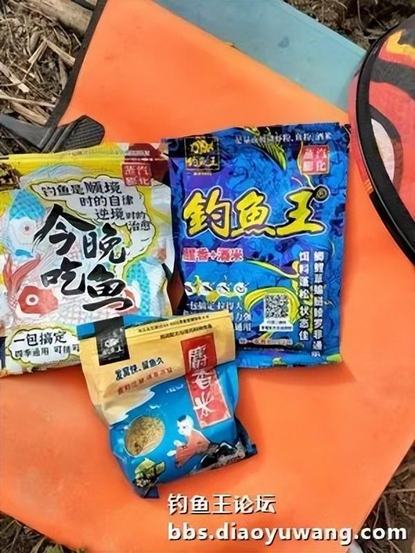 玉米|古徐桥下钓鲫忙