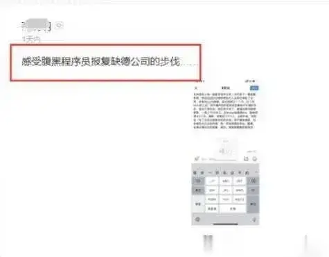 程序员复仇记：系统暗改一夜之间，领导抢功反赔60万