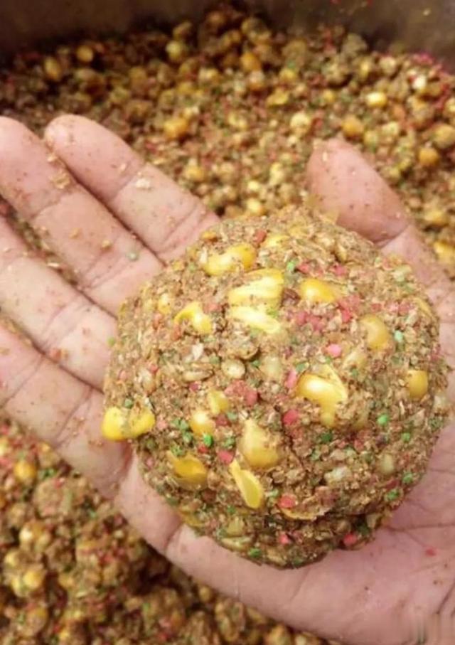 上鱼最多、最快，是打窝以后的那个时段？