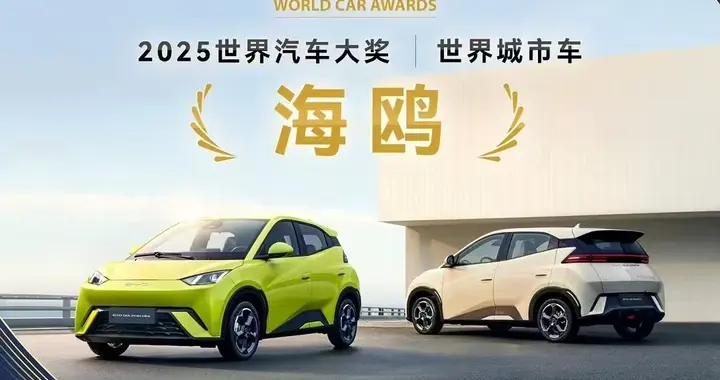 比亚迪海鸥入选《时代周刊》2025 年度最佳发明