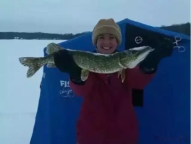 求婚|未婚钓鱼男士看好咯...