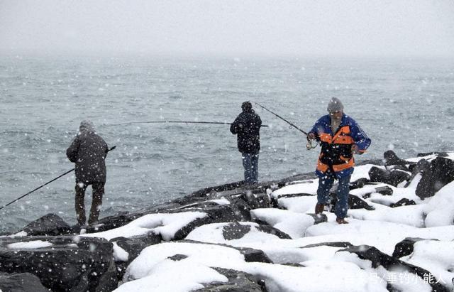 钓鱼|冬季垂钓，抛竿要准，刺鱼要轻！