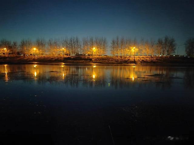 鲫鱼|钓鱼日记——2023年4月8日（碧水庄园附近夜钓）