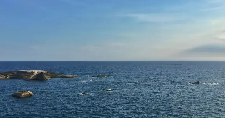 拿了中国大单，还派军机侵闯我国领空，澳大利亚好日子过多了？